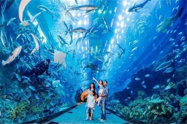 開水族館掙錢嗎現(xiàn)在多少錢（開設(shè)水族館成本） 水族館百科（水族館加盟） 第2張