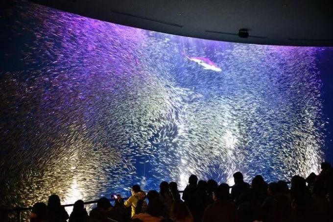 水族館店名大全圖片（水族館店名大全圖片展示多種獨(dú)特的水族館店名設(shè)計(jì)） 水族館百科（水族館加盟） 第2張