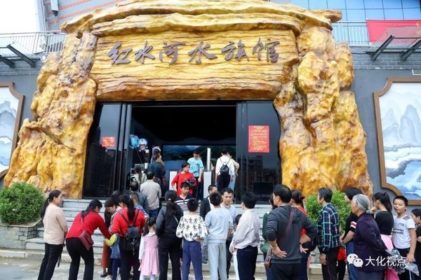 水族館開業(yè)活動(dòng)（關(guān)于水族館開業(yè)活動(dòng)的一些詳細(xì)信息）