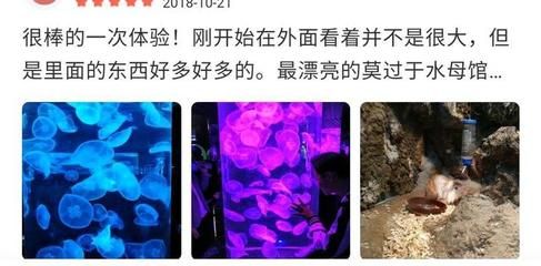 水族館能干嘛（水族館是一個展示和研究水下生物的場所，水族館如何提升環(huán)保意識）