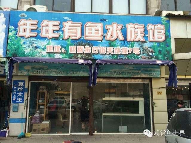 水族館能干嘛（水族館是一個展示和研究水下生物的場所，水族館如何提升環(huán)保意識）