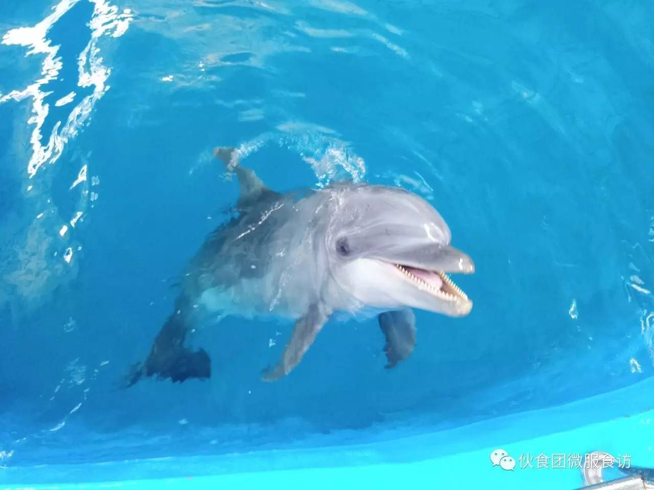 好聽的水族館名字大全集（一些好聽的水族館名字） 水族館百科（水族館加盟） 第5張