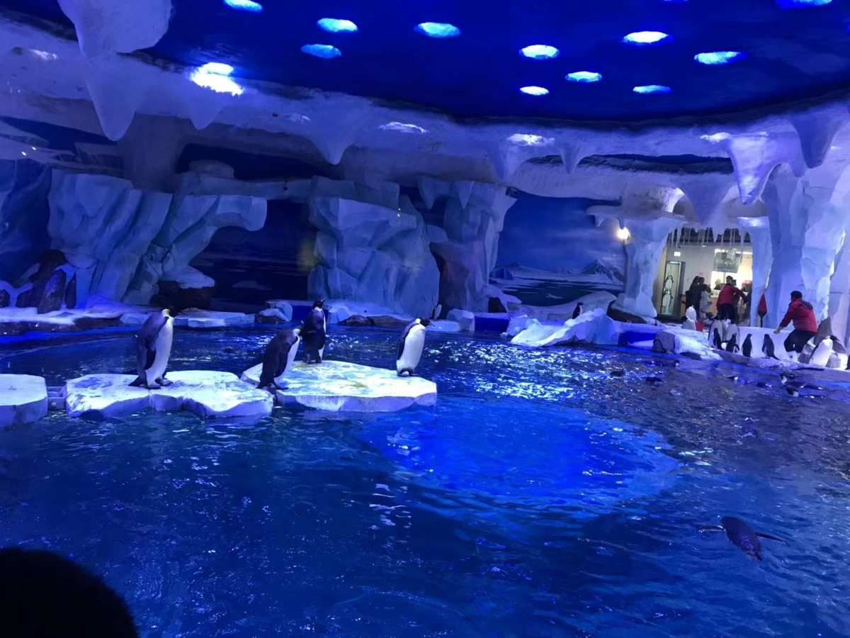 上海海洋水族館好玩嗎值得去嗎（上海海洋水族館親子活動(dòng)安排）