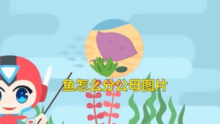 恐龍魚百科（關(guān)于恐龍魚的一些問題） 水族問答