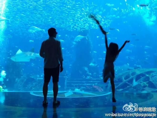 想開一家水族館（如何成功開設一家水族館市場調研水族館市場的成功要素） 水族館百科（水族館加盟） 第2張