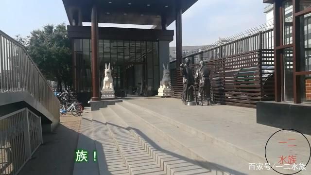 水族館開業(yè)做什么活動賺錢（水族館開業(yè)之際舉辦吸引人的活動） 水族館百科（水族館加盟） 第3張