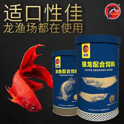 紅龍魚吊眼一只怎么辦?（如何預(yù)防紅龍魚吊眼） 水族問答 第2張