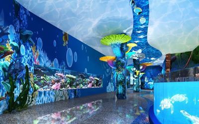 國內(nèi)水族館推薦（上海海洋水族館親子游玩攻略） 水族館百科（水族館加盟） 第4張