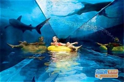 水族館加盟代理多少錢一個月?。ㄋ屦^加盟代理費用概覽） 水族館百科（水族館加盟） 第1張