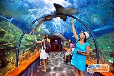 水族館加盟代理多少錢一個月啊（水族館加盟代理費用概覽） 水族館百科（水族館加盟） 第3張