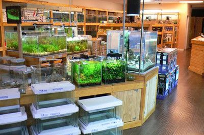 水族館加盟店有哪些品牌的（佳璐水族器材加盟優(yōu)勢(shì)分析）