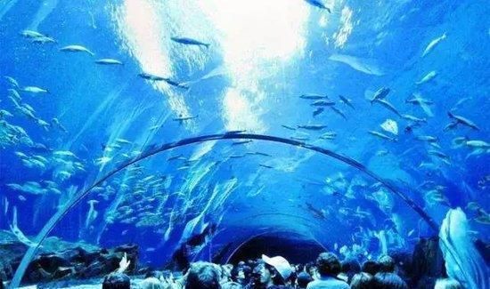 水族館建造費用（建造一個水族館不僅需要考慮投資成本，還需要考慮長期運營和維護） 水族館百科（水族館加盟） 第5張