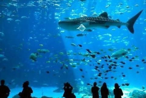 世界著名水族館（世界著名水族館介紹）