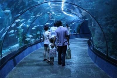 水族館一般用英語怎么說（aquarium,水族館互動(dòng)體驗(yàn)有哪些） 水族館百科（水族館加盟） 第5張