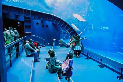 中國水族館排名（中國水族館排名，北京海洋館位居榜首） 水族館百科（水族館加盟） 第5張