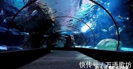 中國水族館排名（中國水族館排名，北京海洋館位居榜首）