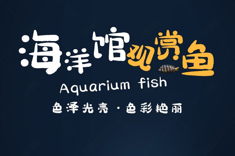 水族館魚缸多層制作（多層魚缸分隔材料選擇技巧，魚缸多層結(jié)構(gòu)的穩(wěn)定性增強方法） 水族館百科（水族館加盟） 第4張