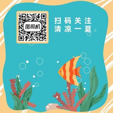 水族館魚缸多層制作（多層魚缸分隔材料選擇技巧，魚缸多層結(jié)構(gòu)的穩(wěn)定性增強(qiáng)方法）