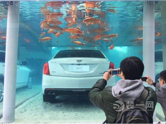 水族館魚缸多層制作（多層魚缸分隔材料選擇技巧，魚缸多層結(jié)構(gòu)的穩(wěn)定性增強方法） 水族館百科（水族館加盟） 第5張