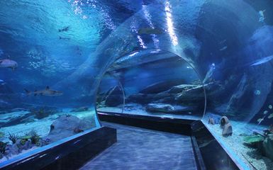 開一家水族館需要些什么東西呢英語（開設(shè)一家水族館需要準備一系列設(shè)備和物品） 水族館百科（水族館加盟） 第1張