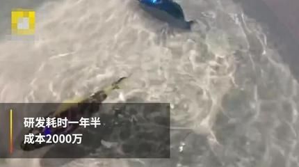 水族館工作需要什么證（水族師資格認(rèn)證考試內(nèi)容,潛水證培訓(xùn)課程介紹） 水族館百科（水族館加盟） 第3張