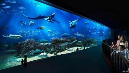 世界最大的水族館在哪個(gè)國(guó)家？（世界上最大的水族館是喬治亞水族館，是世界上最大的水族館）