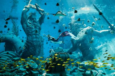 3d水族館動態(tài)壁紙2019下載（3d水族館動態(tài)壁紙2019） 水族館百科（水族館加盟） 第1張