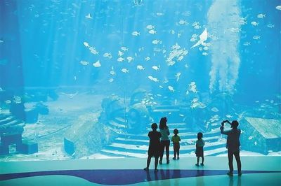 海南水族館哪個好（三亞亞特蘭蒂斯水族館門票價格蜈支洲島海洋館特色活動介紹）