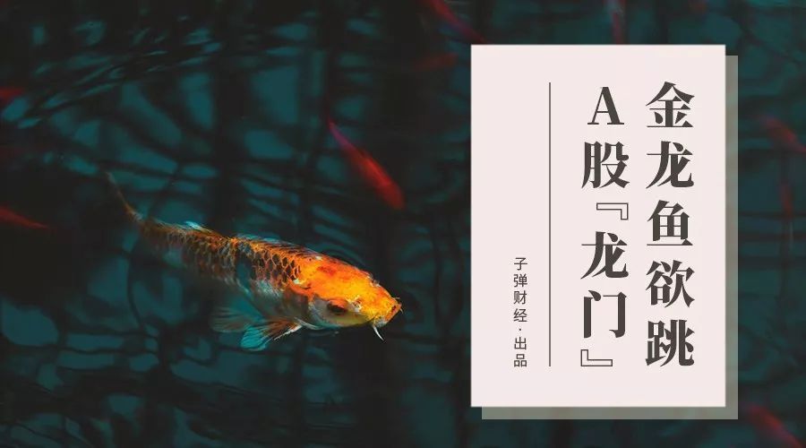 金龍魚(yú)合資企業(yè)是由外方控股這種防空（金龍魚(yú)合資企業(yè)及其控股情況） 龍魚(yú)百科 第3張