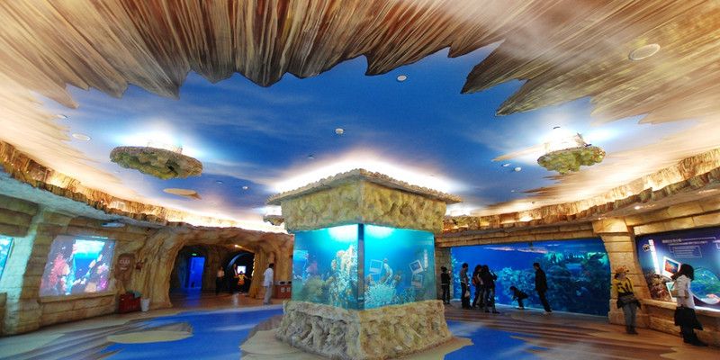 水族館主要經營什么產品類型（水族館主要經營的產品類型） 水族館百科（水族館加盟） 第5張