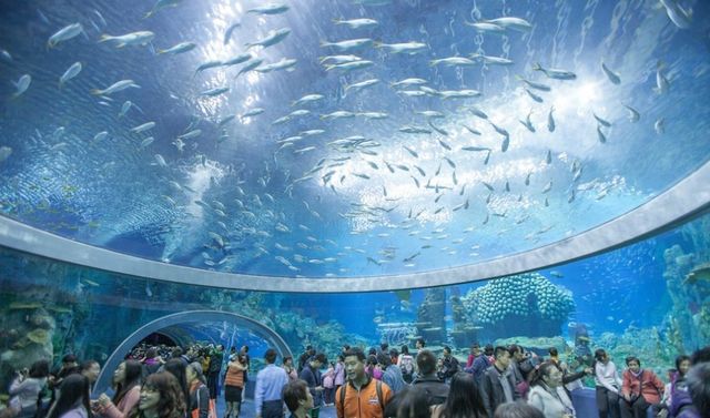 水族館大全500種（bbc地球頻道水族館專題介紹水族館大全500種詳情介紹）