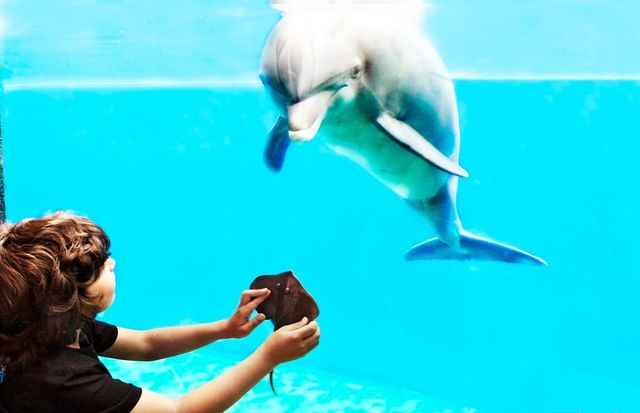 水族館大全500種（bbc地球頻道水族館專題介紹水族館大全500種詳情介紹）