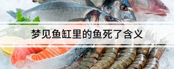 夢(mèng)見(jiàn)魚缸魚死了一條（夢(mèng)見(jiàn)魚缸里的魚死了一條是什么意思）