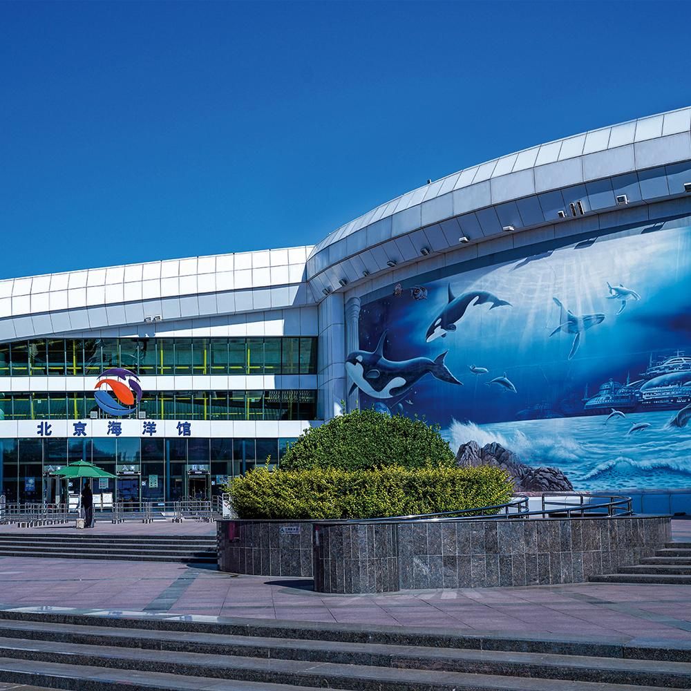 水族館價(jià)格表（上海海洋水族館價(jià)格表）