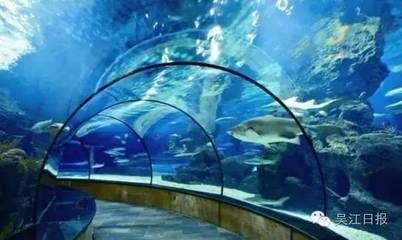 國內(nèi)好的水族館（中國國內(nèi)部分優(yōu)秀的水族館）