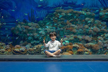 水族館店鋪照片真實高清（上海海洋水族館）