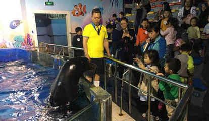 水族館工資高嗎（水族館飼養(yǎng)員工作機(jī)會(huì)多嗎） 水族館百科（水族館加盟） 第3張