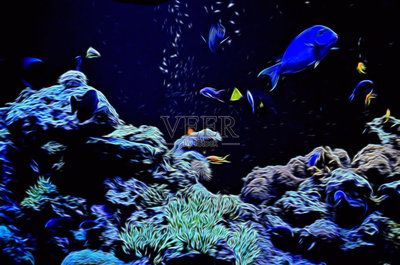 水族館繪畫素材（水族館手繪教程：水下生物繪畫技巧,海洋生物素描方法） 水族館百科（水族館加盟） 第1張