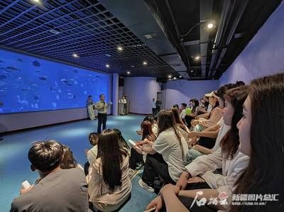 水族館面積（世界十大水族館排名更新水族館面積與生物多樣性之間的關(guān)系） 水族館百科（水族館加盟） 第2張