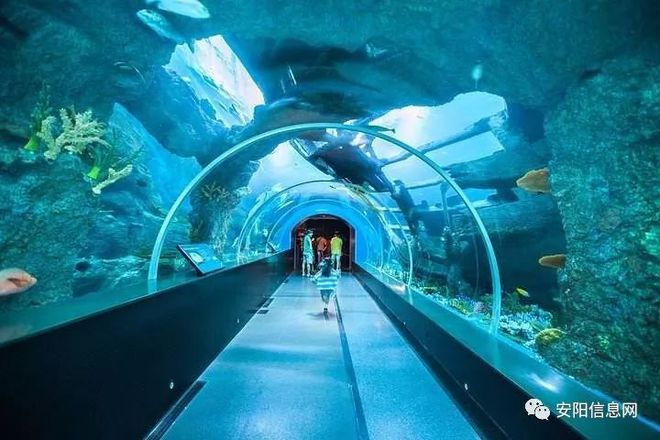 水族館面積（世界十大水族館排名更新水族館面積與生物多樣性之間的關(guān)系） 水族館百科（水族館加盟） 第3張