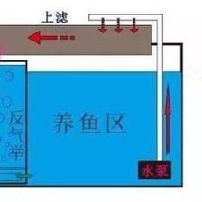 魚缸出水口最佳方向 魚缸百科 第4張