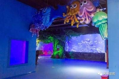 水族館門票多少錢一張（上海海洋水族館門票價(jià)格） 水族館百科（水族館加盟） 第3張