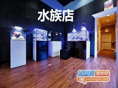 水族館加盟店怎么樣啊賺錢嗎（加盟迪茨水族館一年就賺很多?。? title=