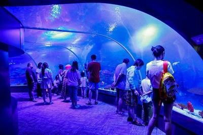 水族館的定義（水族館是一個(gè)專門用于展覽水生生態(tài)保護(hù)、教育公眾、推動(dòng)科學(xué)研究的基地） 水族館百科（水族館加盟） 第5張