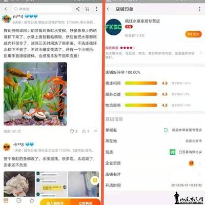 金龍魚用什么牌子的燈最好用（-金龍魚魚缸選擇led燈具有哪些品牌推薦） 水族問答 第2張