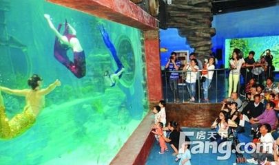 開一個(gè)水族館需要什么手續(xù)呢（水族館設(shè)計(jì)裝修要點(diǎn)）