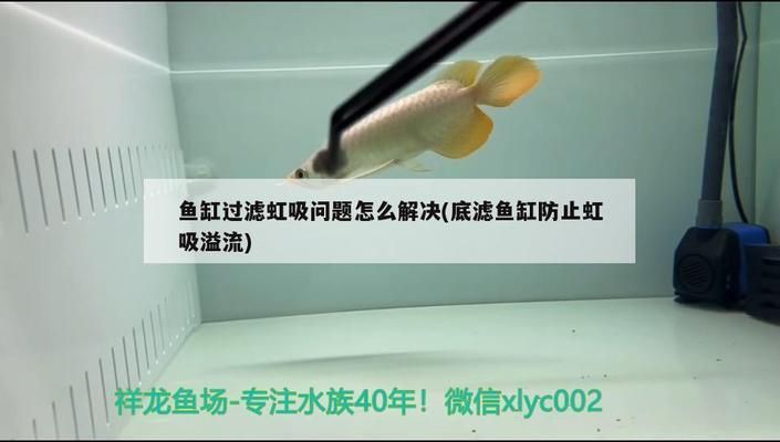 魚缸虹吸現(xiàn)象怎么解決（如何解決魚缸虹吸現(xiàn)象） 魚缸百科 第2張