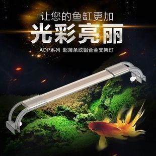 森森魚缸燈（森森魚缸燈全光譜效果對比） 魚缸百科 第2張