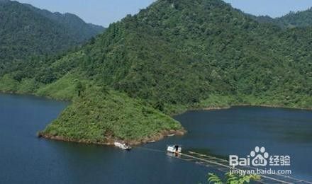 水族館養(yǎng)魚有哪些技巧（養(yǎng)魚技巧包括：1.選擇適宜的水族箱，確保魚類健康生長） 水族館百科（水族館加盟） 第3張