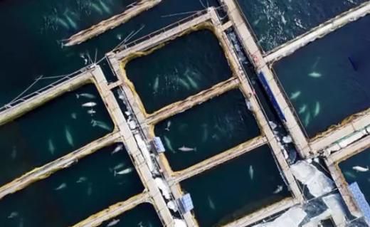 開個(gè)水族館的艱難經(jīng)歷怎么寫（如何寫開個(gè)水族館的艱難經(jīng)歷） 水族館百科（水族館加盟） 第3張